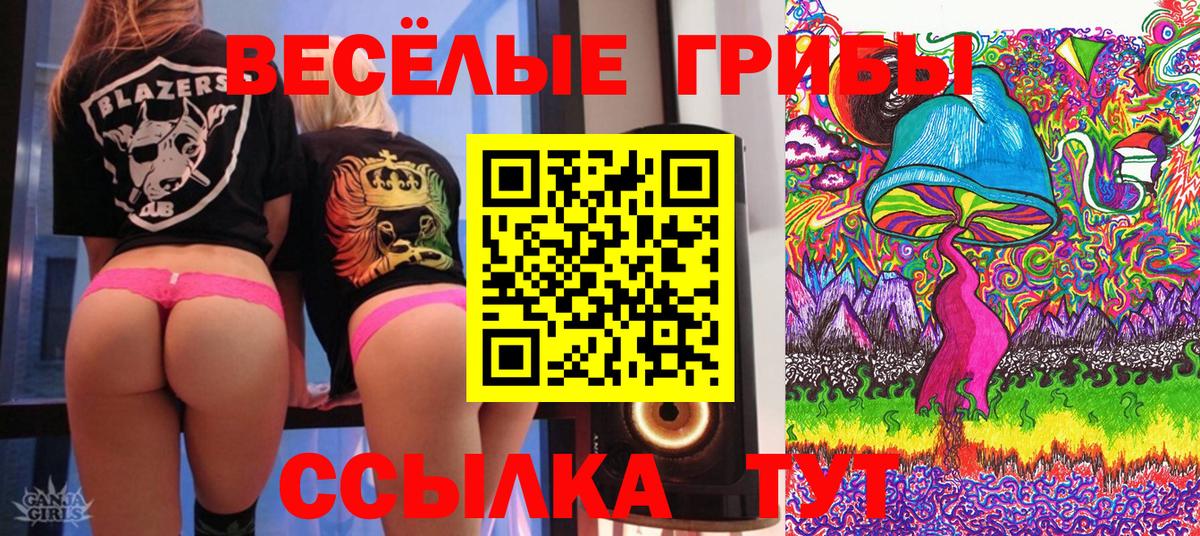 Галлюциногенные грибы Psilocybine cubensis Кизилюрт